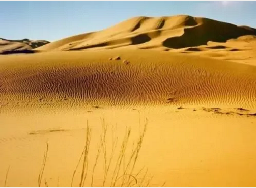 湖北鑫和綠色能源有限公司 湖北鑫和綠色能源有限公司