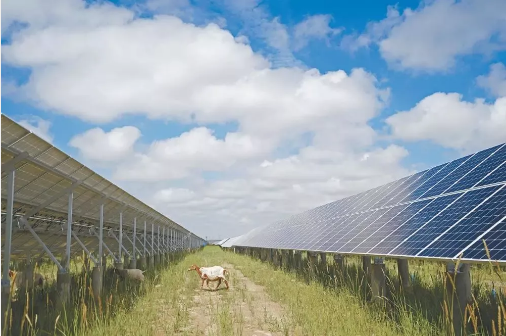 湖北鑫和綠色能源有限公司 湖北鑫和綠色能源有限公司