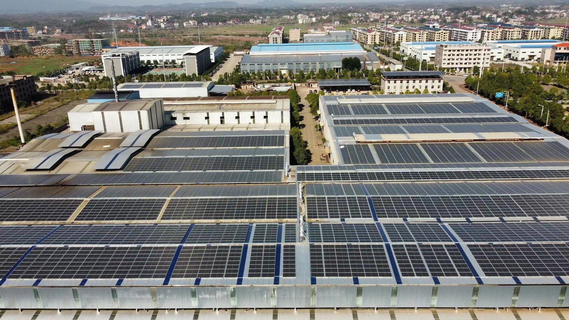 全球秩序躁動，中國光伏懼否？